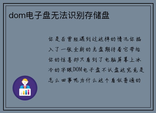dom电子盘无法识别存储盘
