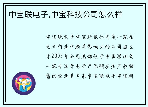 中宝联电子,中宝科技公司怎么样